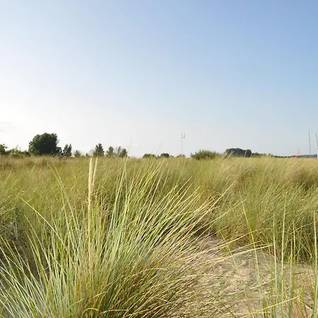 Surf Shack 3 - Am Strand, Parkplatz, Wlan, Kiten, Surfen, Chillen Im Gemeinschaftsgarten, Naturstrand, Restaurants Und Geschaefte In 5 Minuten Erreichbar, Lockere Atmosphaere